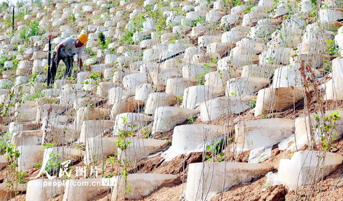 河北井陘 礦山修復(fù)治理 改善生態(tài)環(huán)境